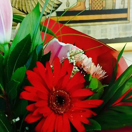 Elegant Tsimiski Neoclassical Lejlighed Thessaloníki